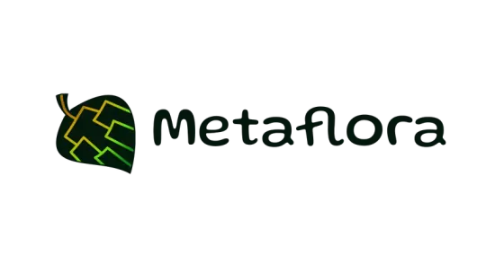 Jouer à Metaflora - Jeu du Jour Gratuit